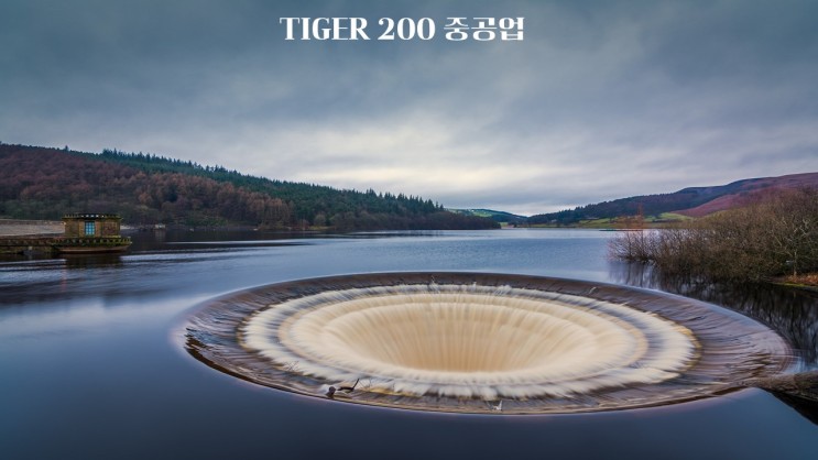TIGER 200 중공업/139230