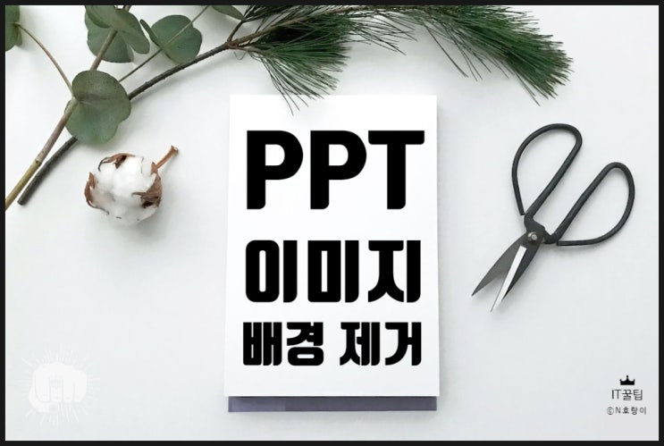 PPT 이미지 배경 제거 쉽게 할 수 있어요