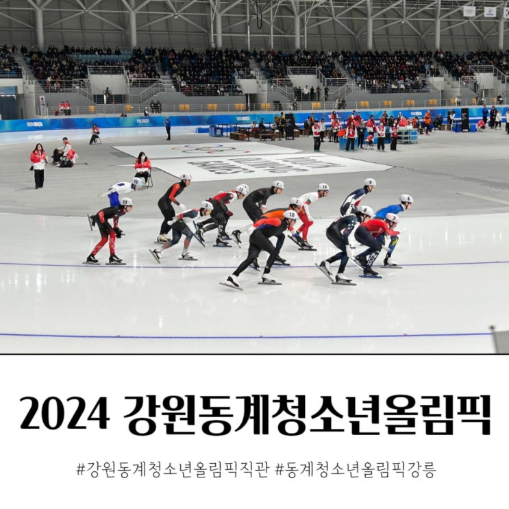 2024 강원동계청소년올림픽 강릉 직관 부대행사 체험부스