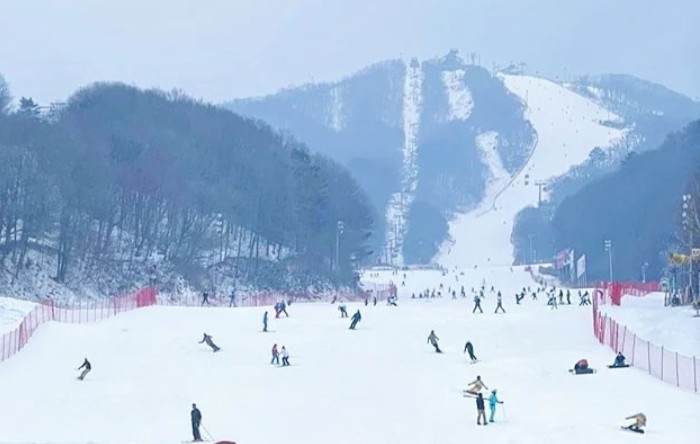 <b>전참시</b> 박세리 <b>슈퍼카</b> 스키장 회원권 평창 가격 냉수육 자동차... 
