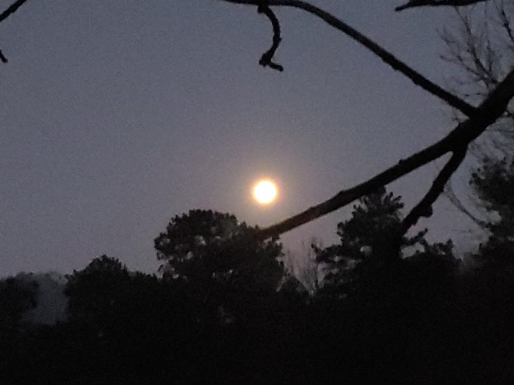 달은 서산으로 지는데... 달은 서산으로 지는데...