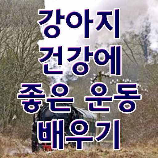  반려견운동지도사 1급 자격증 무료수강 정보 가득 ?!