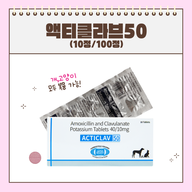 강아지와 고양이를 위한 액티클라브50 사용 방법 : 복용 시 주의사항 안내