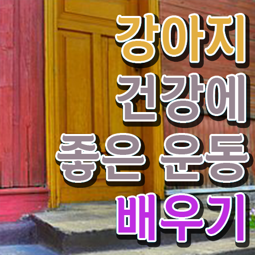  반려견운동지도사 자격증 공부 필수 정보 수록 ~