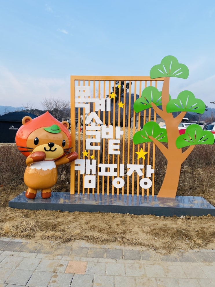  목계솔밭 캠핑장 후기 2