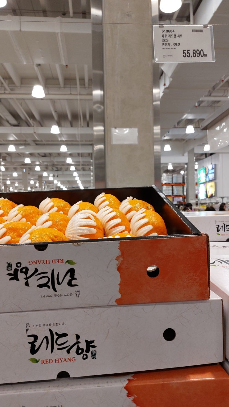  코스트코 과일 명절 총정리 선물세트 추천 가격정보 세일 정보