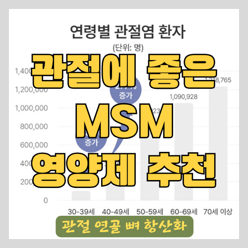 관절에 좋은 MSM 식이유황 영양제 추천 - 보스웰리아, 초록입홍합,엠에스엠,칼슘