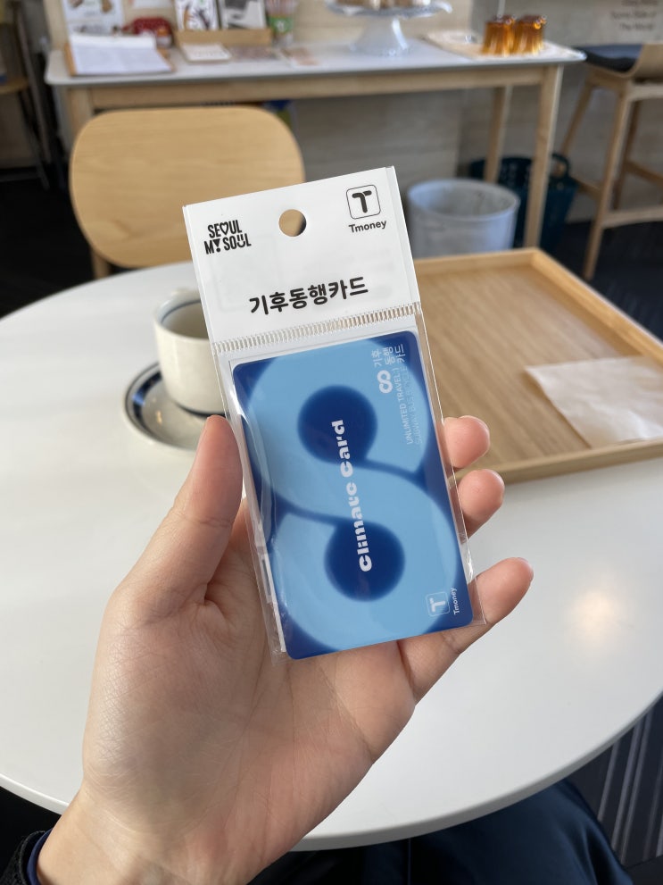  ios 아이폰 기후동행카드 발급완 충전완 사용완..! 죠타