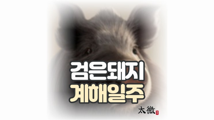  검은 돼지를 뜻하는 "계해일주"
