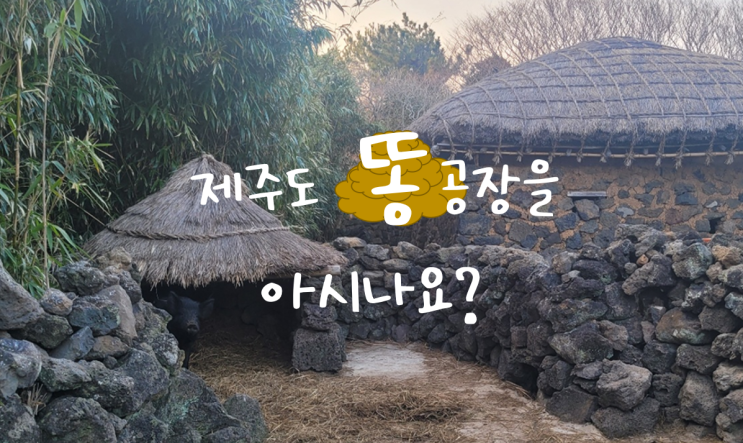  이색공장 제주 민속촌 통시 제주 똥돼지 흑돼지 보러가기