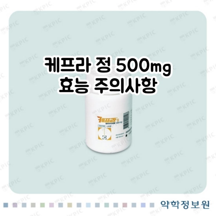  케프라 정 500mg 레비티라세탐 Levetiracetam 대해 알아보자!(효능 용법 부작용 주의사항 임부 수유부)