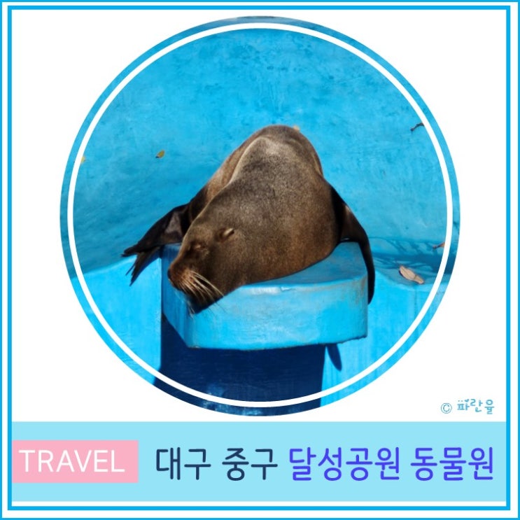  대구 달성공원 동물원 주차장 아이와 함께 가볼만 한 곳 산책하기 좋은곳