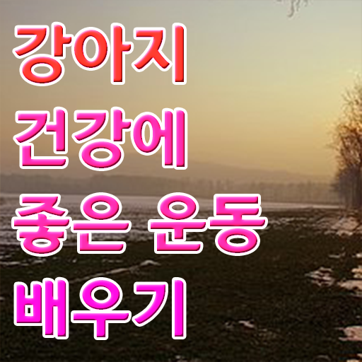  반려견운동지도사 1급 자격증 진로 핵심 정보 ?