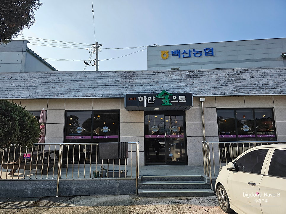 하얀숲으로 사진 2