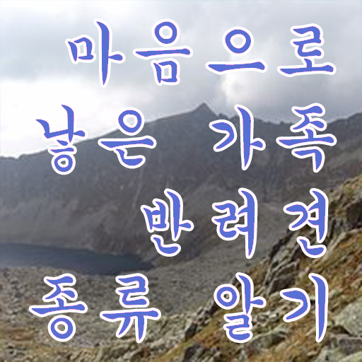  반려동물 관리사 학원 빠른 취득 알아볼까요 !