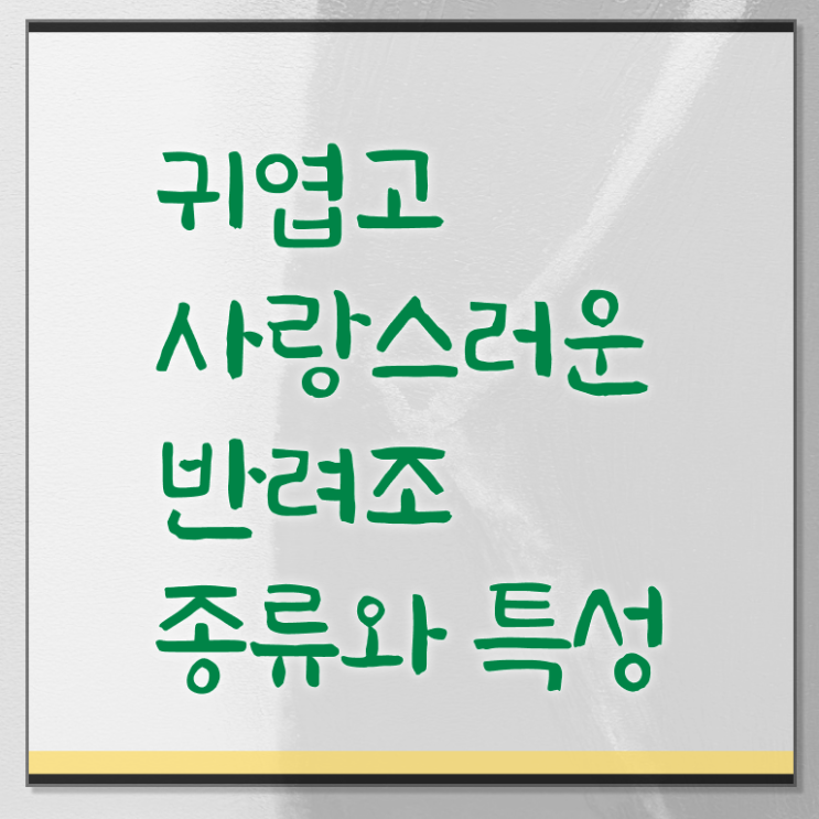 반려조관리사 자격증 무료강의 핵심 정보 ! 한국자격검정원