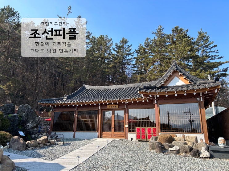  커피도 디져트도 맛있고 사장님도 친절해 자주 가는 효천지구 근처 한옥카페 조선피플