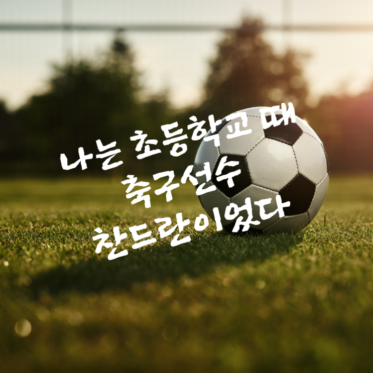  나는 초등학교 때 축구선수 찬드란이었다, 진화하는 아시안컵 소회