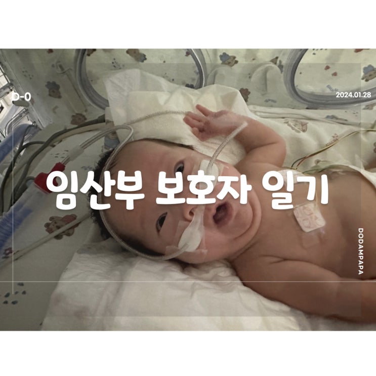 2024.01.28 임산부 보호자 일기 D-0일 2024.01.28 임산부 보호자 일기 D-0일