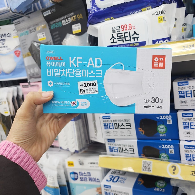 다이소 마스크 오웰 KF 덴탈마스크 필터마스크 구매 후기 다이소 마스크 오웰 KF 덴탈마스크 필터마스크 구매 후기