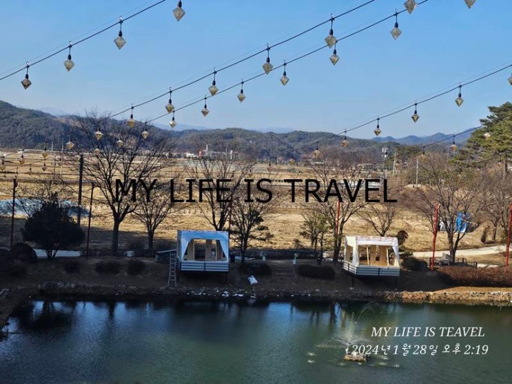  경북봉화가볼만한곳 솔밭카페인하원 봉화이색카페추천