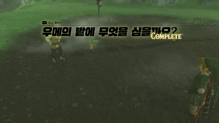  [젤다의 전설 왕국의 눈물] - 왕눈/미니 챌린지/우메의 밭에 무엇을 심을까요?