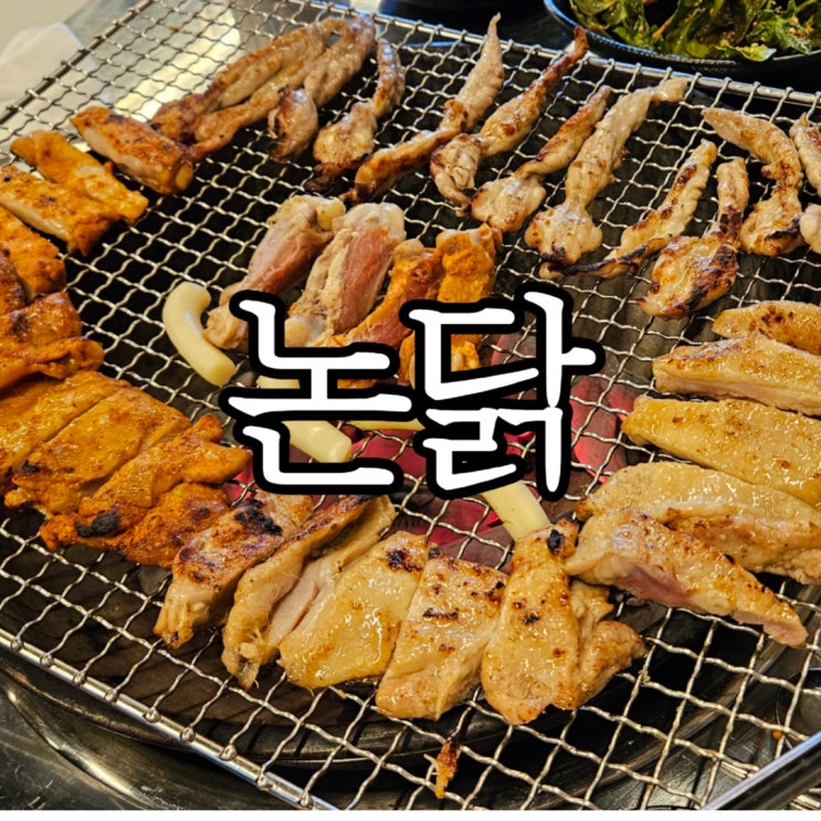  창원성산구상남동 숯불닭갈비 맛집 논닭