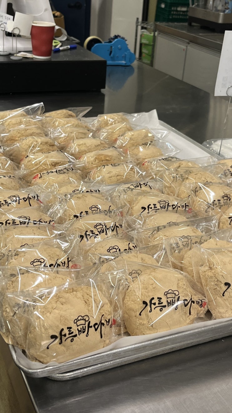  강릉여행 강릉빵다방 / 초당토박이할머니순두부