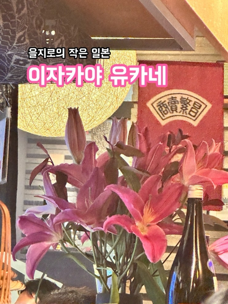  을지로 유카네_을지로의 작은 일본 이자카야