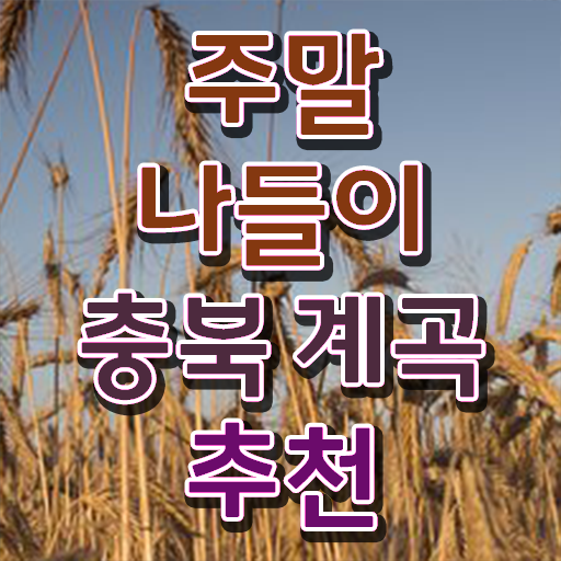  충북 단양 계곡 여름 여행지 정보 모두 드려요 ~