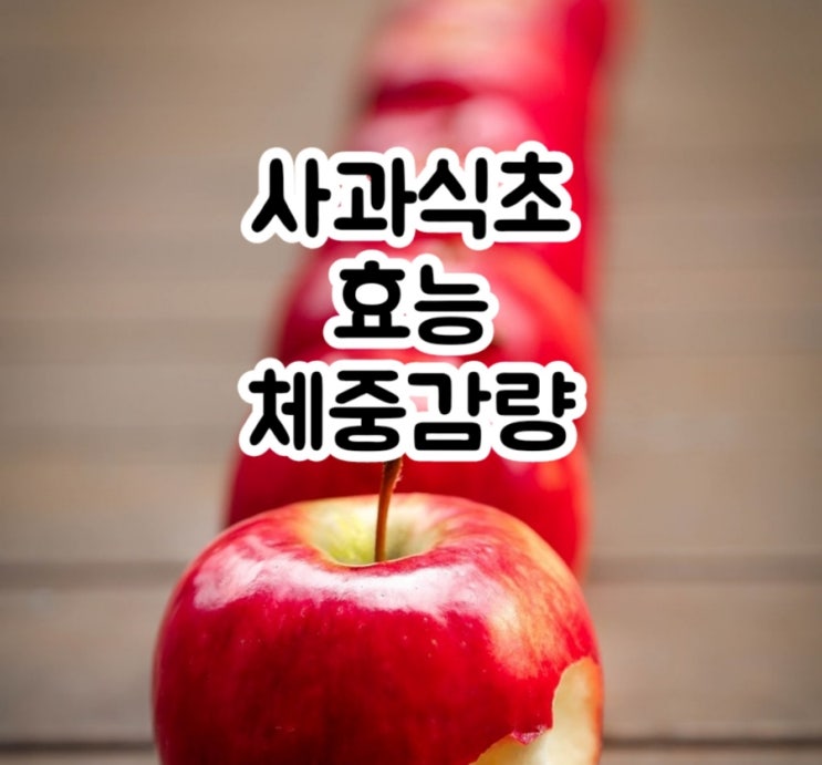  사과식초 체중감량 도움 되나요? 효능 인슐린 콜레스테롤 포만감