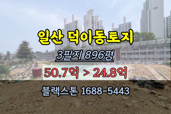 일산 덕이동토지 경매 1천평이하 20억대 매매