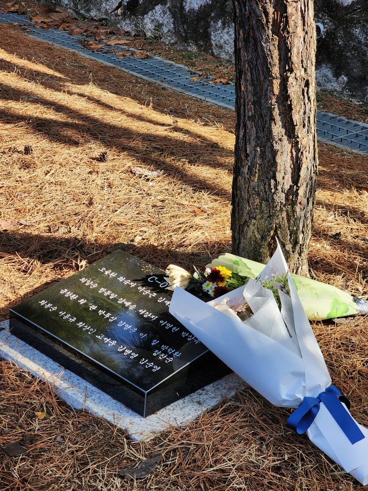 파주 용미리제1공원 설전 성묘를 위한 가족모임 파주 용미리제1공원 설전 성묘를 위한 가족모임