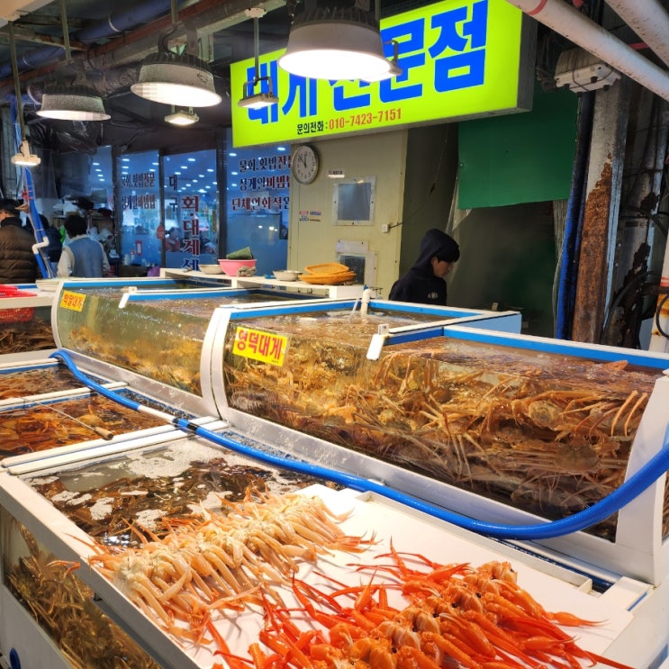  [포항] 포항 죽도시장 한신수산에서 대게랑홍게 먹어본 후기