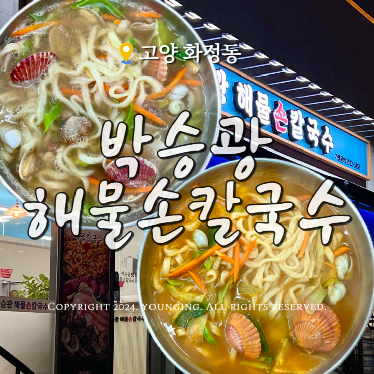  화정 칼국수 맛집 박승광 해물손칼국수 추운날 딱이야