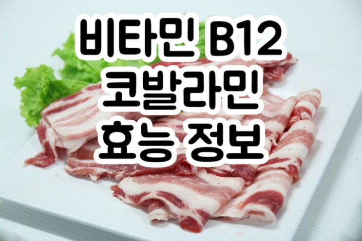  비타민 B12 vitamin 코발라민 cobalamin 총정리! (효능 주의사항 함유식품 권장섭취량)