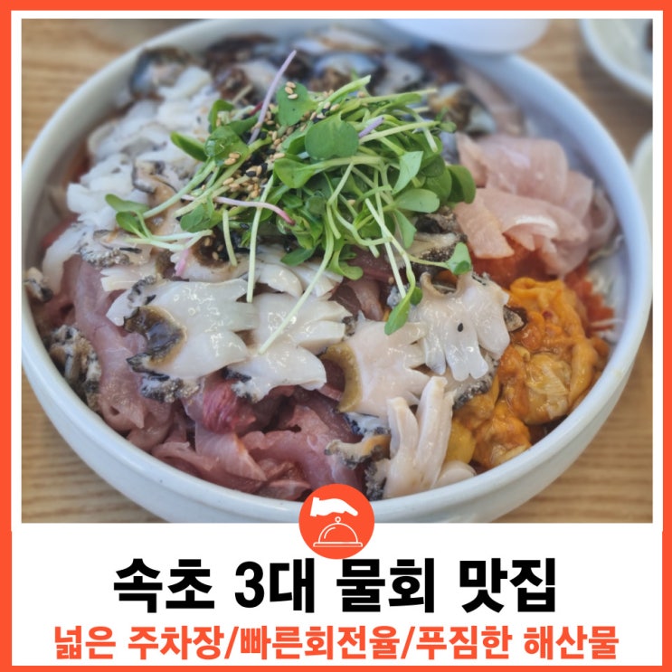  강원도 속초 3대 물회 맛집 싱싱 푸짐한 해산물 속초 항아리물회