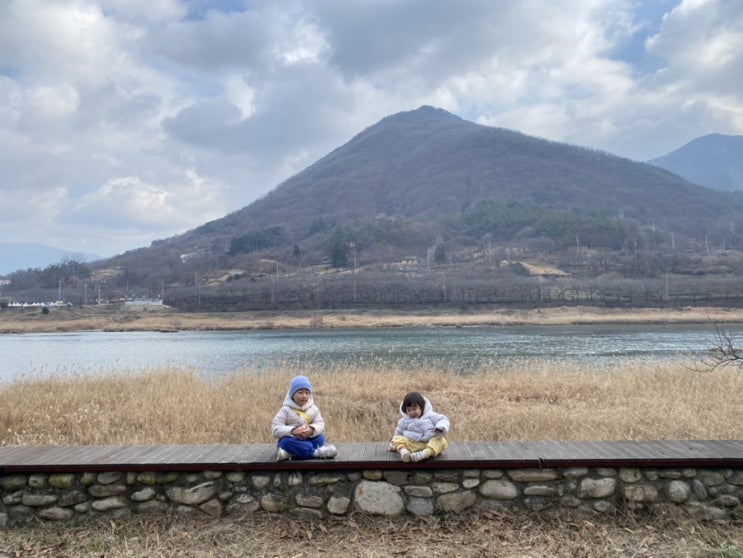 나무, 열매아빠 육아일기(86) - 연말 구례여행기, 섬진강 대나무숲길을 다시 가보다.