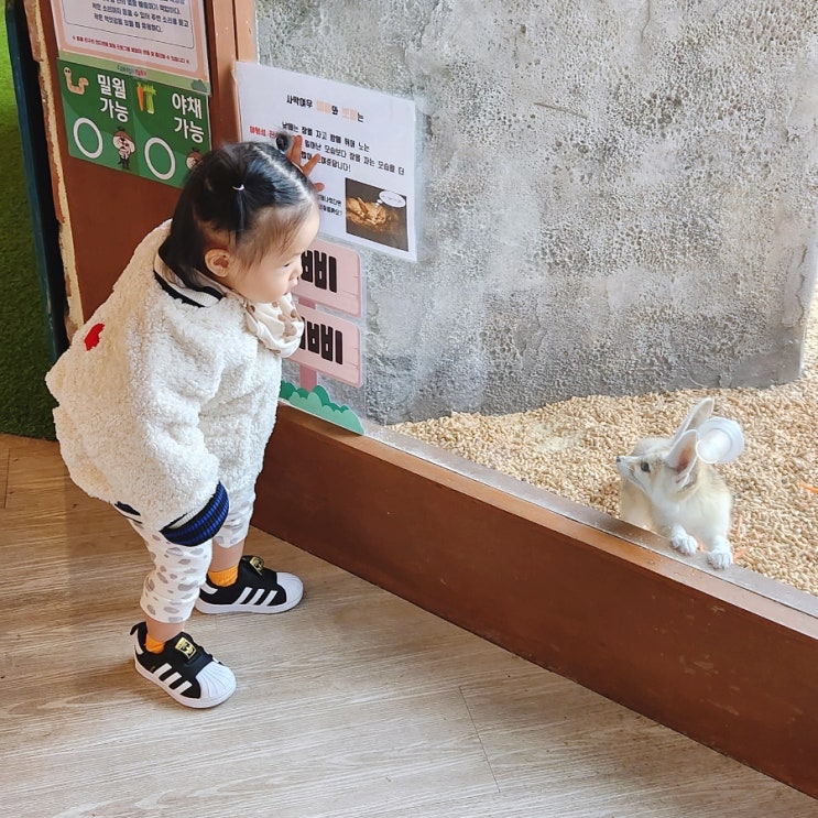  울산 캐니언파크 아기랑 실내동물원 키즈카페 이벤트후기