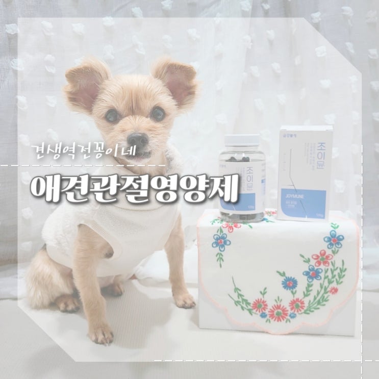 고양이 강아지 관절염 슬개골탈구 예방 노견영양제 조이뮨 애견관절영양제