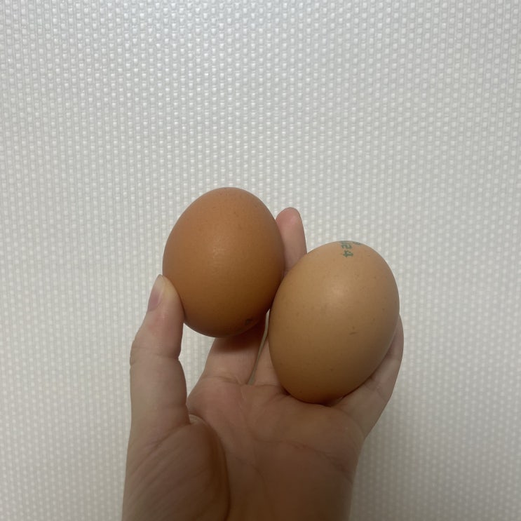  건강한 아침 루틴 간단한 아침 식사 차려먹기