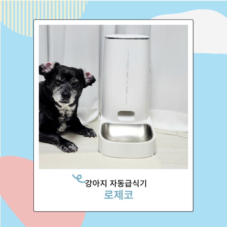 강아지 자동급식기 로제코 스마트한 애견용품 강아지 자동급식기 로제코 스마트한 애견용품