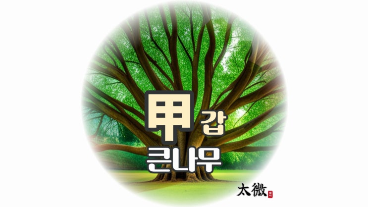  자연의 기운과 활력을 상징하는 큰 나무... 천간 "갑"
