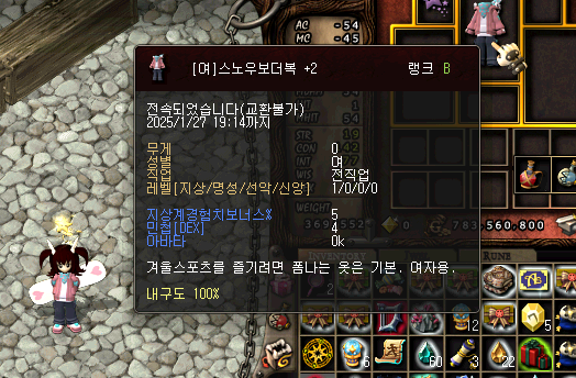  아스가르드 스노우보더복 치장 정보