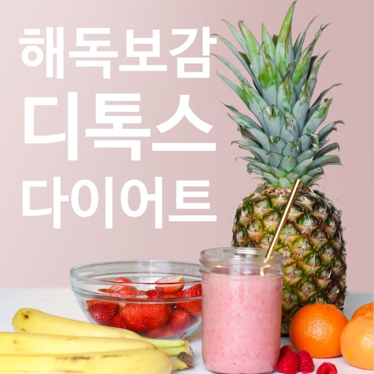  해독보감 디톡스 다이어트 보호식 후기