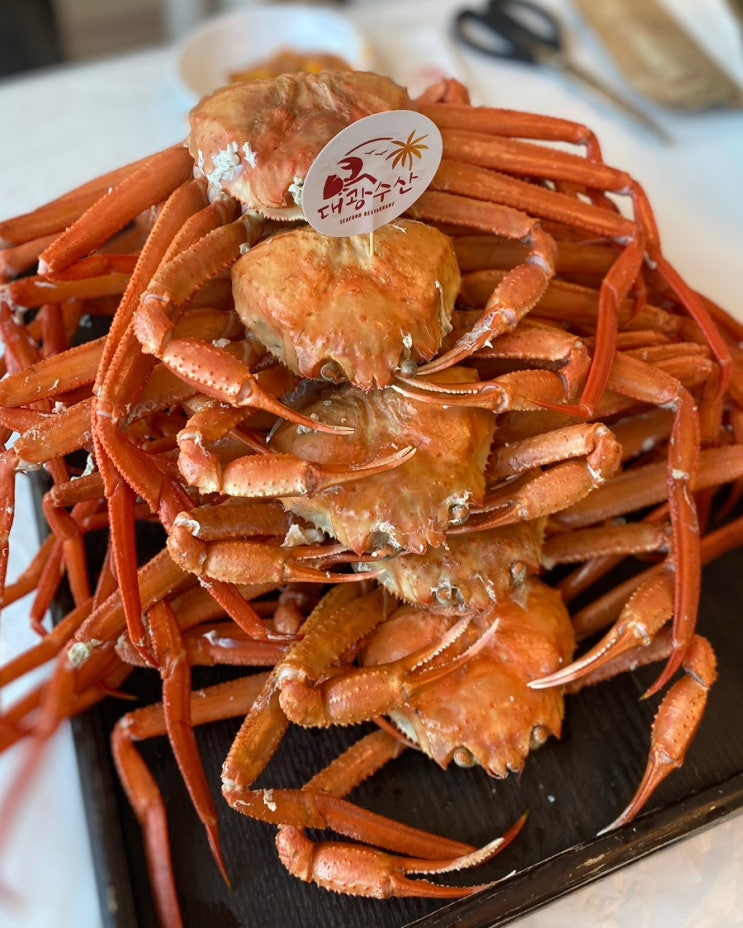  후포항 대게 맛집, 울진 홍게 무한리필 <후포리 대광수산>