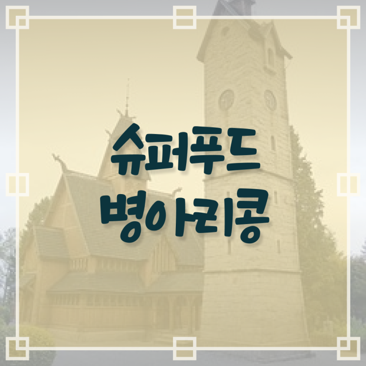  병아리콩 영양성분 ~ 강력추천 !!!