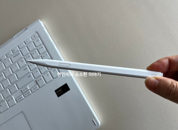 LG그램프로360 스타일러스펜