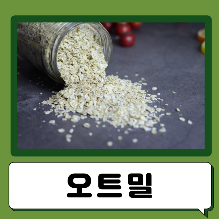  귀리 오트밀 효능 부작용 칼로리 먹는법 단백질 오트밀우유
