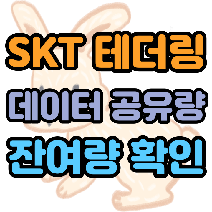  SKT 테더링 데이터 공유량 잔여량 보는 방법